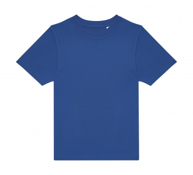 Color 450 (Royal blue)