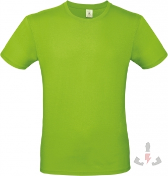 Color 511 (Orchid Green)