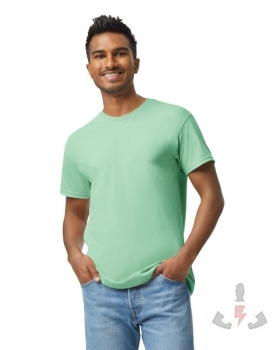 Color 455 (Mint green)