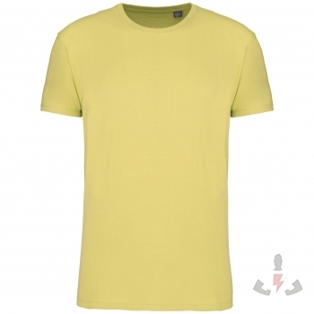 Color lemon-yellow (Lemon yellow)