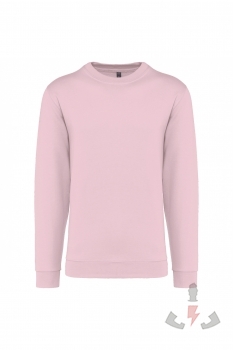 Color pale-pink (Pale Pink)