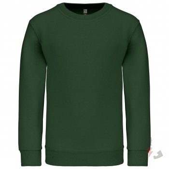 Color forestgreen (Forest Green)