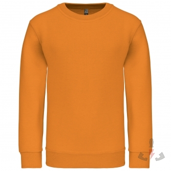 Color orange (orange)