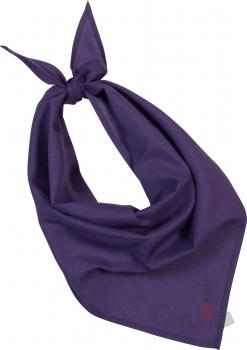 Color purple (Purple)