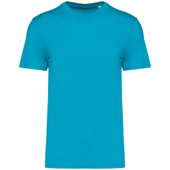 Color lightturquoise (Light Turquoise)