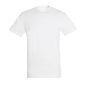 Color 100 (White)