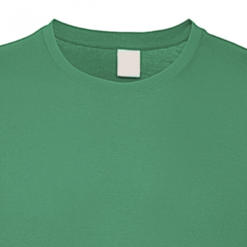 Color kellygreen (Kelly Green)