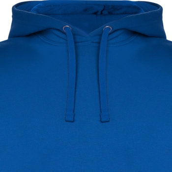 Color 111 (Royal)