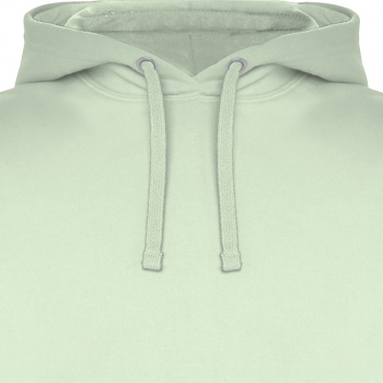 Color 213 (Mist Green)