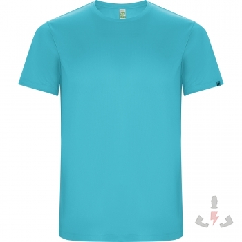 Color 12 (Turquoise)