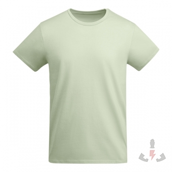 Color 264 (Mist Green)