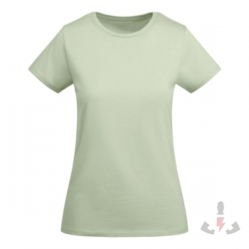 Color 264 (Mist Green)