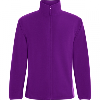 Color 71 (Purple)