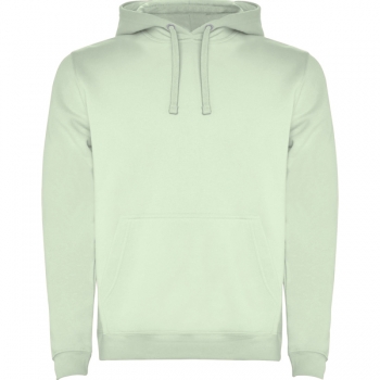 Color 264 (Mist Green)