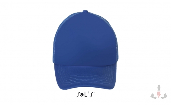 Color 241 (Royal Blue)