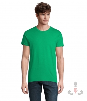 Color 272 (Kelly Green)