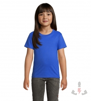 Color 241 (Royal Blue)