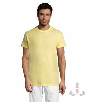 Color 261 (Pale yellow)