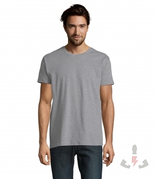 Color 350 (Grey Melange)