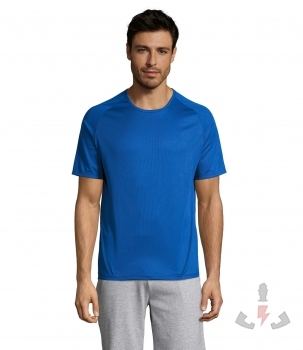 Color 241 (Royal Blue)