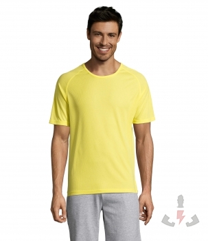 Color 302 (Lemon)