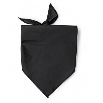 Color 02 (Black)