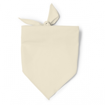 Color 06 (Beige)