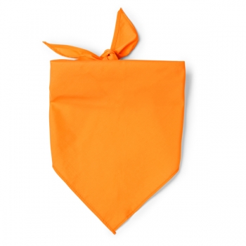 Color 31 (Orange)